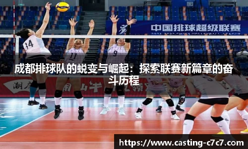 c7娱乐官网
